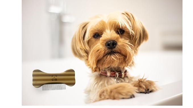Cute to the Bone Bamboo Dog Comb