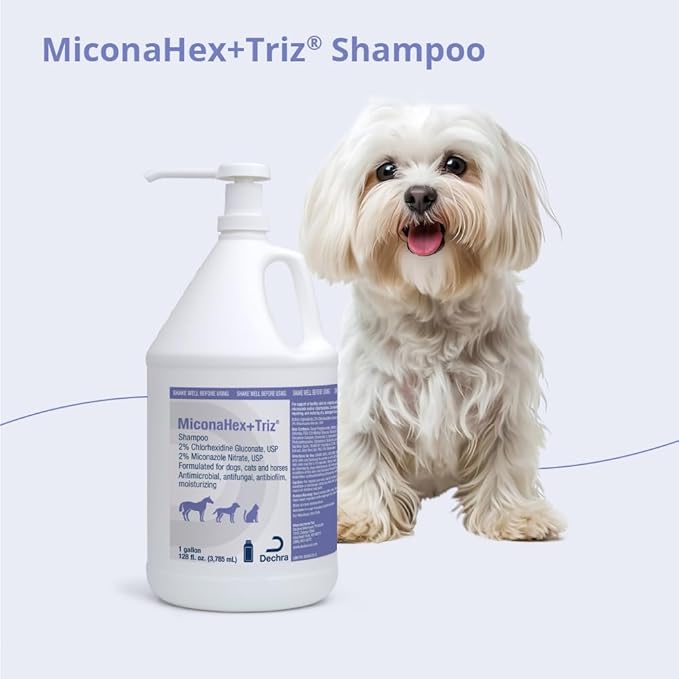 Shampoo for Dogs, Cats and Horses, Gallon
