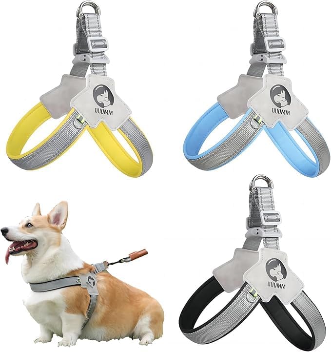 Pet Dog Cat Harness, Pet Harness with Leash Set, Adjustable Puppy Harness Comfortable Reflective Easy Control Dog with Leather Leash, No-Pull No Choke Pet Harness for Training Walking