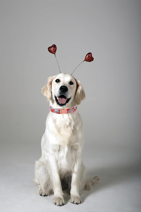 Lionet Paws Valentine Day Dog Collar, Heavy-Duty Cute Red Heart Pattern Fabric Pet Collar with Metal Buckle Necklace for Large Gift, XLarge, Neck 16-26 inches