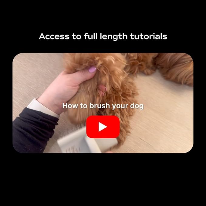 Slicker Brush for Professional and Luxury Dog Grooming to Prevent Matting with Dense and Extra Long Stainless Steel Pins (Goldendoodles, Labradoodles, Poodles)