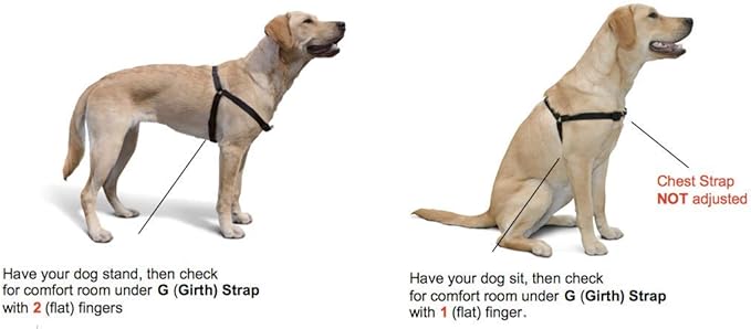 The Original Sense-ation No-Pull Dog Training Harness (Medium, Neon Orange)