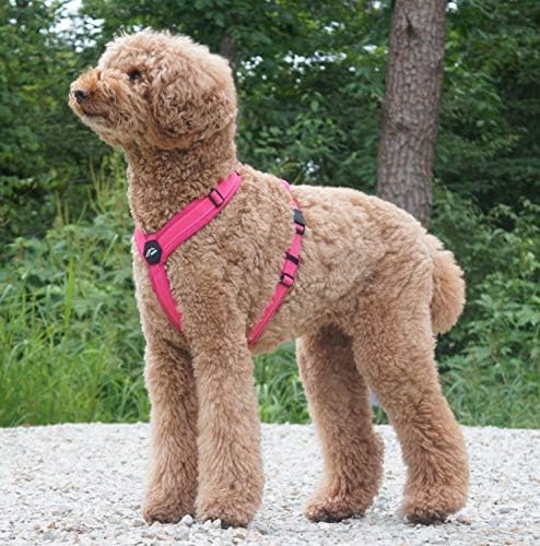 Hakusan Zero Harness (XXS, Pink x Pink)