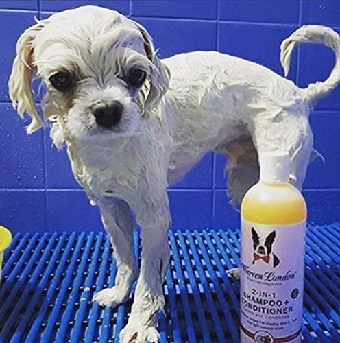 Warren London 2 in1 Pet Shampoo and Conditioner for Dogs, Puppys, & Cats | Best Dog Shampoo and Conditioner for Dry Itchy Skin | Dandruff Shampoo for Cats & Dogs | Made in USA | 17oz