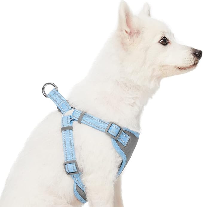 Blueberry Pet Essentials Pastel Color Reflective Dog Harness Vest, Chest Girth 17.5" - 21", Baby Blue, Small, Adjustable Harnesses for Dogs