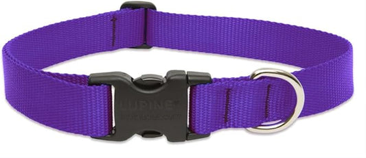 LupinePet Basics 1" Purple 25-31" Adjustable Collar for Extra Large Dogs