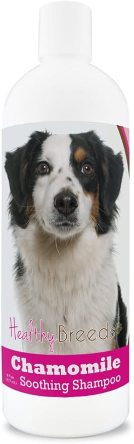 Healthy Breeds Miniature American Shepherd Chamomile Soothing Dog Shampoo 8 oz