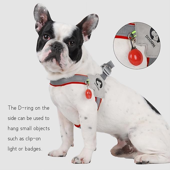 Pet Dog Cat Harness, Pet Harness with Leash Set, Adjustable Puppy Harness Comfortable Reflective Easy Control Dog with Leather Leash, No-Pull No Choke Pet Harness for Training Walking