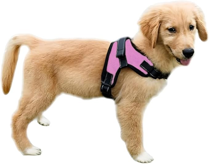 No Pull Reflective Adjustable Dog Harness With Handle- Comfortable Soft All Weather Mesh, Easy On Puppy Harness For Small Medium and Large Dogs (Pink) Small
