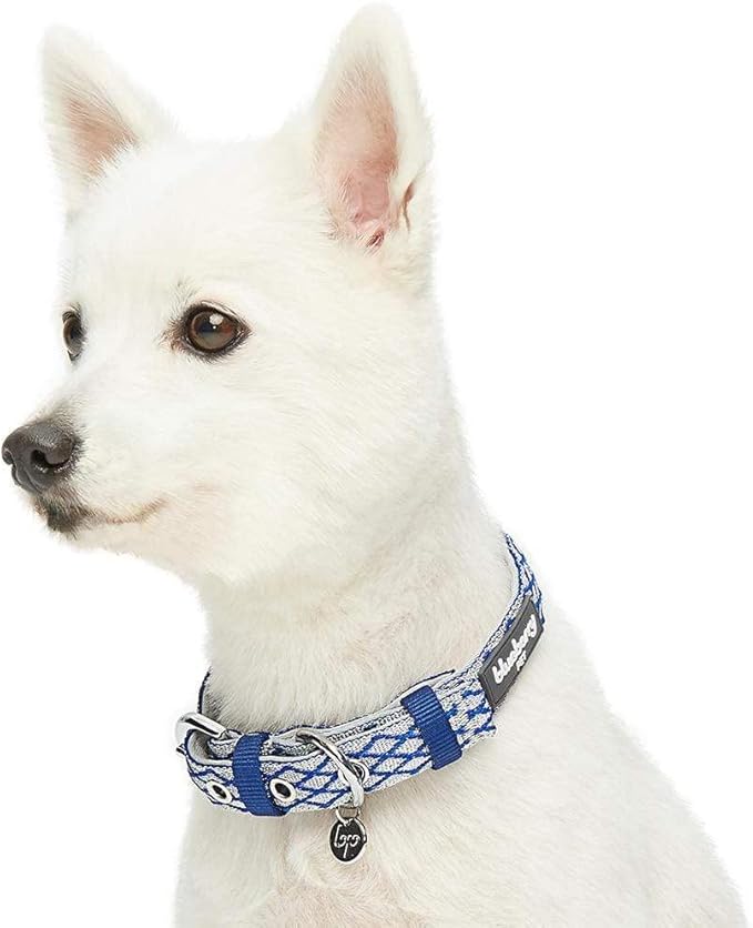 Blueberry Pet 2 Patterns Diamond Pattern Adjustable Neoprene Padded Dog Collar with Metal Buckle - Royal Blue, Neck 13-16.5", for Medium Breed