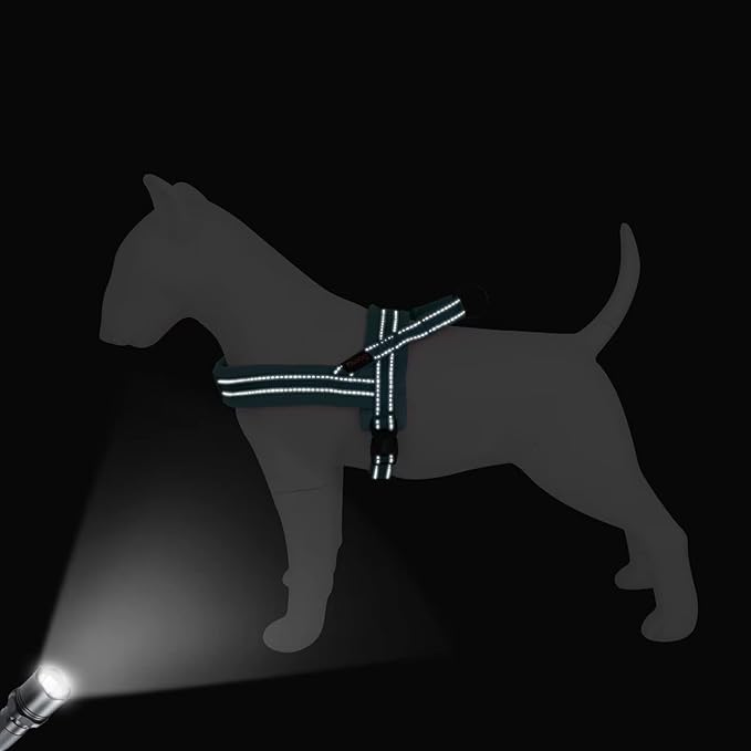 Didog Soft Flannel Padded Dog Vest Harness,Escape Proof/Quick Fit Reflective Dog Strap Harness, Easy for Training Walking(XS:Chest 15-18", Teal)