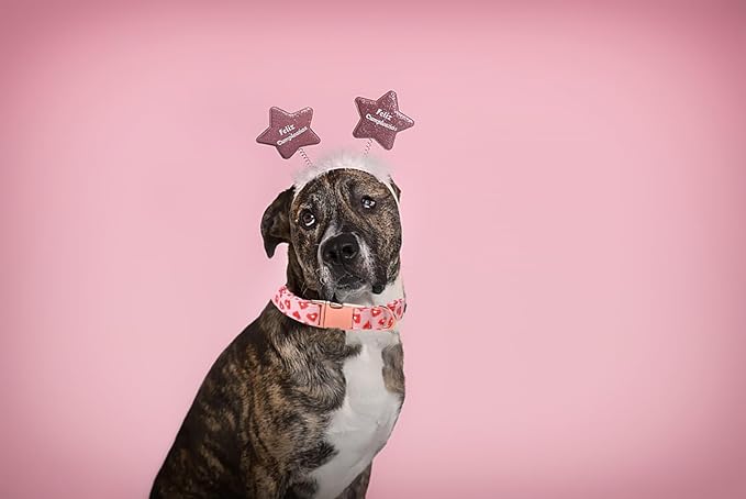 Lionet Paws Valentine Day Dog Collar, Heavy-Duty Cute Red Heart Pattern Collar with Metal Buckle Pet Necklace for Small Dog Gift, Neck 10-16 inches