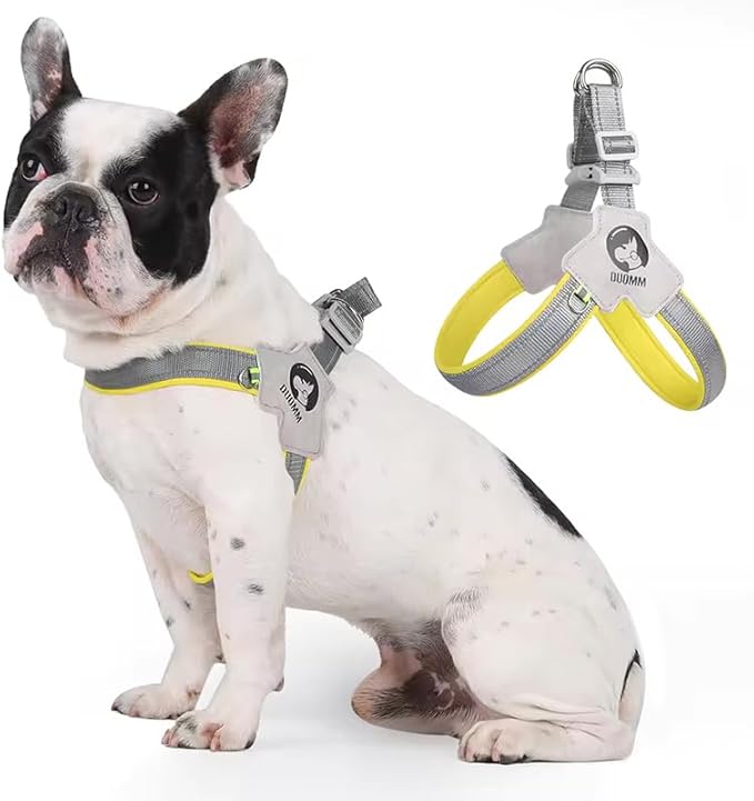 Pet Dog Cat Harness, Pet Harness with Leash Set, Adjustable Puppy Harness Comfortable Reflective Easy Control Dog with Leather Leash, No-Pull No Choke Pet Harness for Training Walking