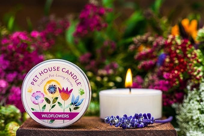Pet House Mini Candles for Pet Odor Made with Natural Soy Wax, Plant Based, Dog and Cat Friendly Scented Candles, Lemongrass Pack of 3
