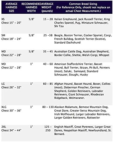 2 Hounds Design Freedom No Pull Dog Harness | Comfortable Control for Easy Walking |Adjustable Dog Harness and Leash Set | Small, Medium & Large Dogs | Made in USA | Solid Colors | 1" LG Red