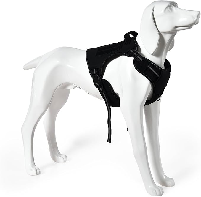 Amazon Basics No Pull Dog Harness, Adjustable Front Clip, Tactical Vest, X-Large, Black