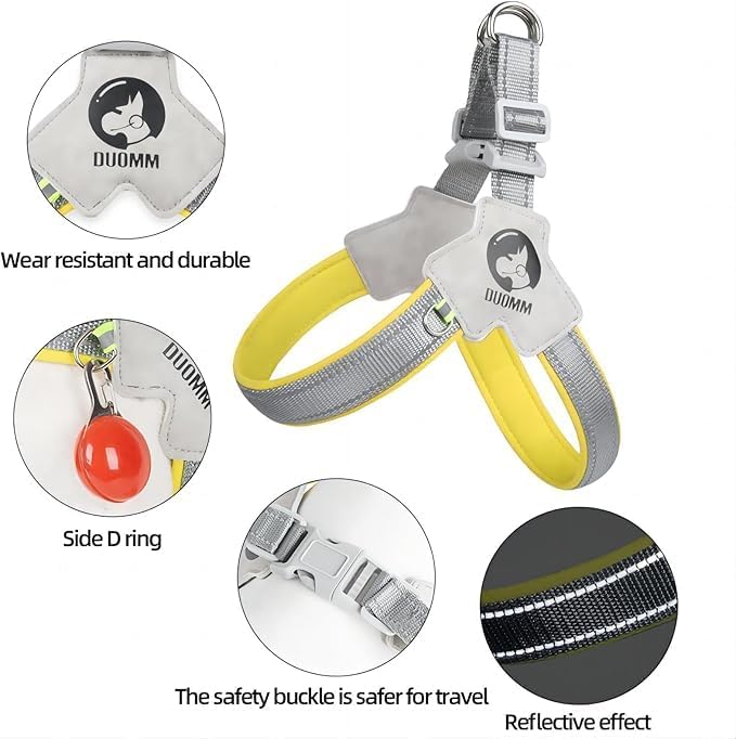 Pet Dog Cat Harness, Pet Harness with Leash Set, Adjustable Puppy Harness Comfortable Reflective Easy Control Dog with Leather Leash, No-Pull No Choke Pet Harness for Training Walking