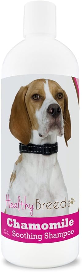 Healthy Breeds English Pointer Chamomile Soothing Dog Shampoo 8 oz