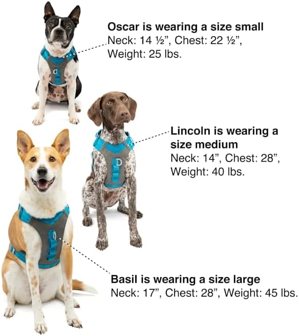 Kurgo Journey Air Dog Harness, Vest Harnesses for Dogs, Pet Hiking Harness for Running & Walking, Reflective, Padded, Includes Control Handle, No Pull Front Clip (Black, Large)