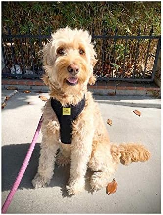 Active Dogs Dog Harness No Pull & No Choke Adjustable Pet Vest Harness for Dogs Reflective Adjustable Breathable Front Clip Pet Harness for Small Medium and Large Dogs (X-Small, Navy Blue)