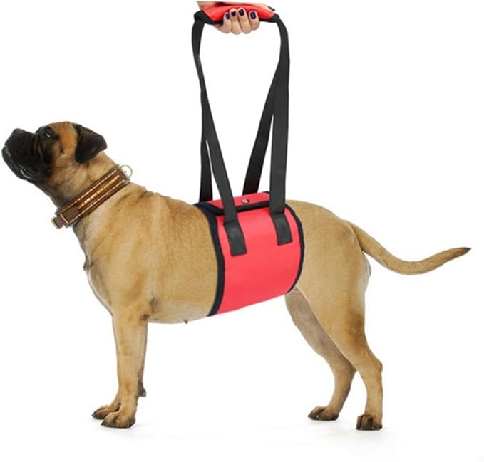 Pet Assist Sling Dog Harness with Handle Red M Size Dog Lift Support for Recovery Lightweight and Foldable
