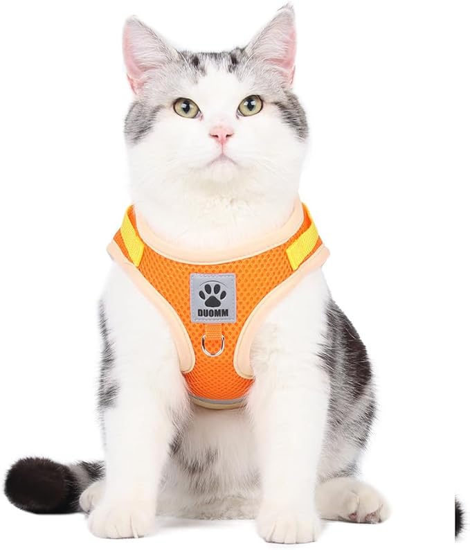 leconpet Dog Harness and Leash Set, Reflective Step in Harness Vest Set-Hook and Loop Fasteners and Buckle Design Combined with Double D Ring on The Back and Chest Ring (Orange, S)