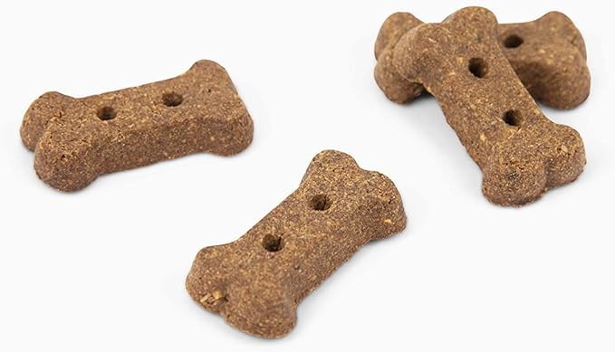 Jiminy's Original Cricket Cookie Dog Treat, 5oz, Peanut Butter & Blueberry (Pack of 3)