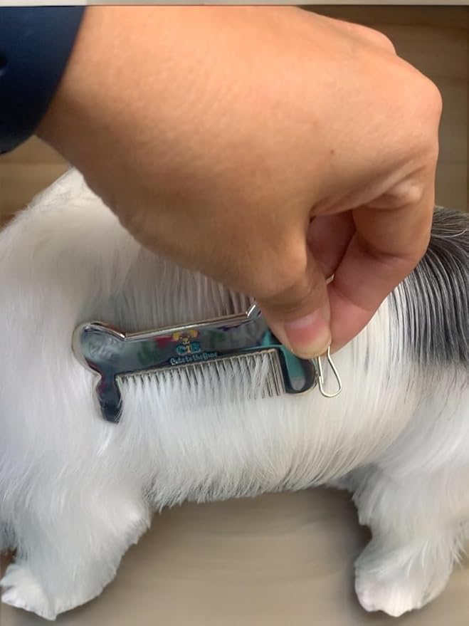Cute to the Bone Portable Dog Comb 3x1.5 inch Stainless Steel, Small, Shinny silver