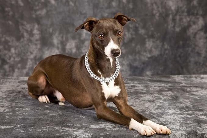 Cuban Link Chain Dog Durable Light Metal Dog Collar Silver Chain for Dog Cute Fashion Jewelry Accessories for Dogs Bulldog Pitbulls (19MM)(14)