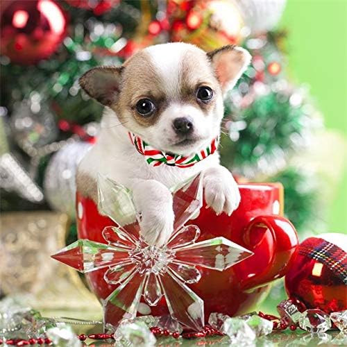 Christmas Festival Dog Collar, Stripe Pattern, Removable Bowtie, for Small Dog, Neck 8"-12.5", Width 5/8". (Small, Stripes)
