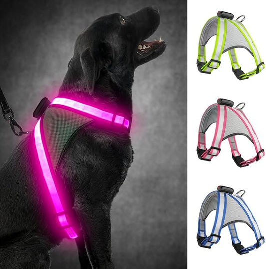 Visinite LED Dog Harness, USB Rechargeable Light Up Dog Harness Vest, 2 Illuminate Modes Glow in The Dark Dog Harness, Adjustable Lighted Dog Harness Light for Night Walking Safety
