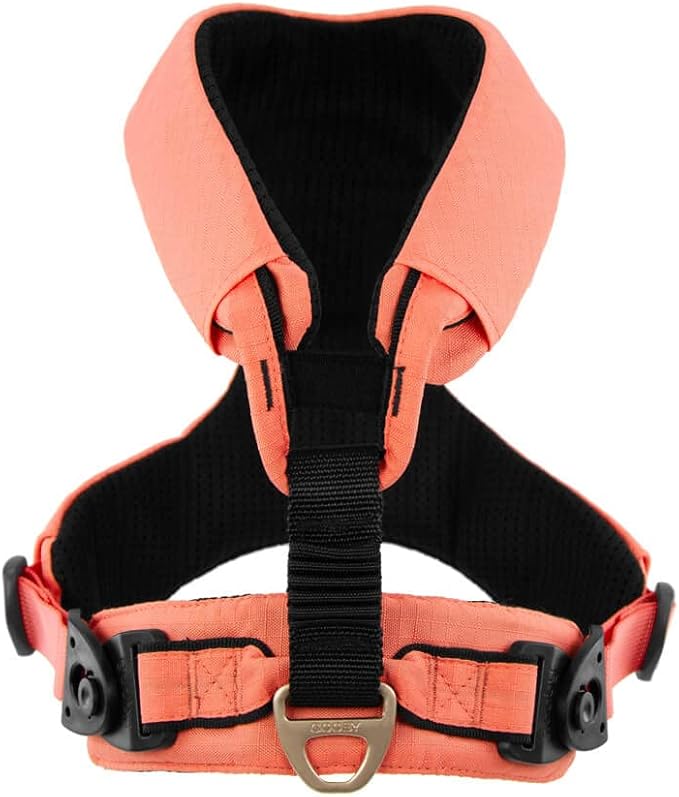 Gooby Lite Gear Z Harness - Scratch Resistant Ergonomic Harness with Shock Absorption - Head-in Harness for Small or Medium Dogs