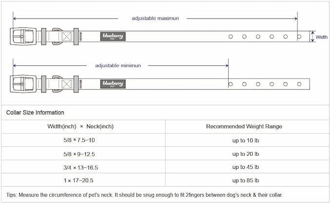 Blueberry Pet Sparkling Rhinestone Adjustable Dog Collar with Metal Buckle, Lavender, Neck 17-20.5", for Large Breed