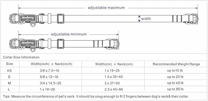 Blueberry Pet 3M Reflective Dog Collars | Adjustable Dog Collar w/Multi-Colored Stripe - Mint Blue and Green | Nylon Pet Collars for Dogs & Refflective Dog Collar for Small Dogs
