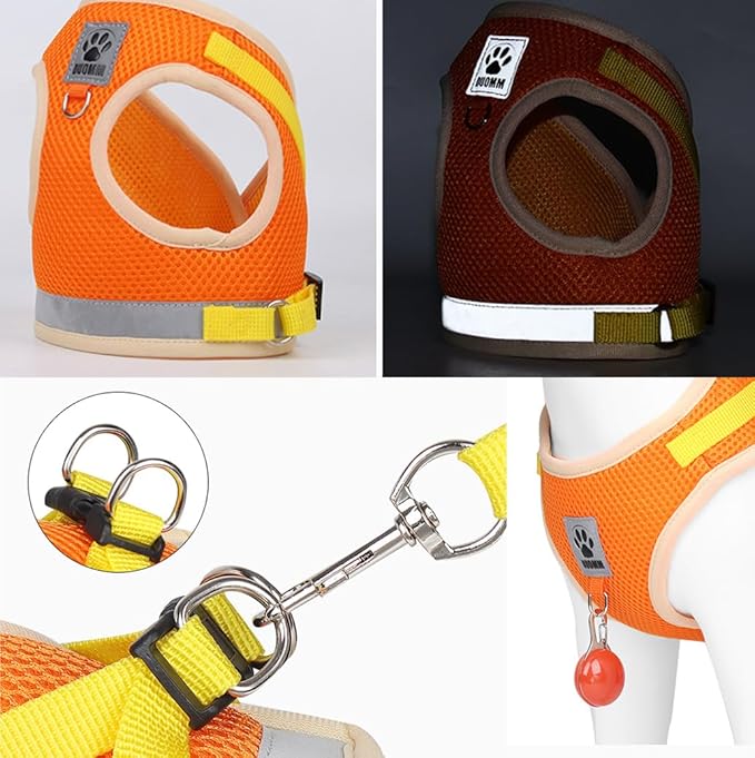 leconpet Dog Harness and Leash Set, Reflective Step in Harness Vest Set-Hook and Loop Fasteners and Buckle Design Combined with Double D Ring on The Back and Chest Ring (Orange, S)
