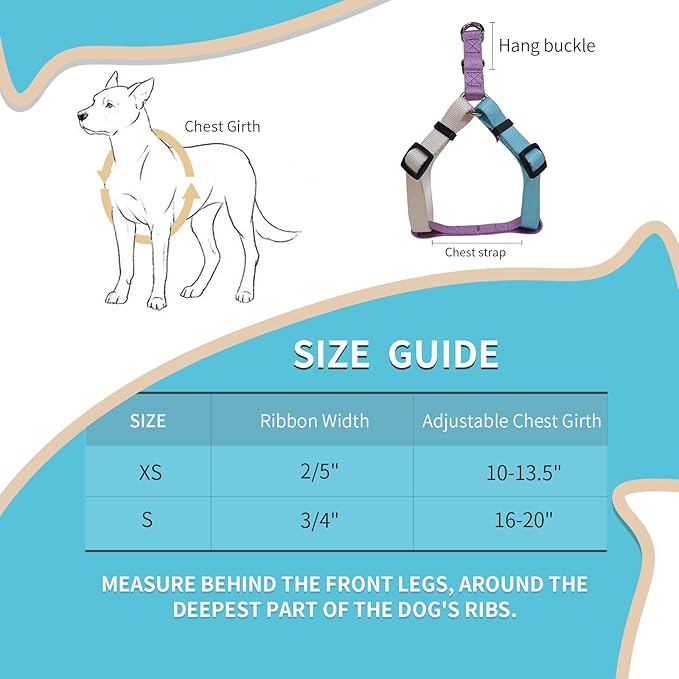 Tri-Color Dog Harness and Purple Pink Gradient Shock Absorbing Dog Leash Set,Step-in Freedom Dog Vest Harness,Strong Padded Handle to Help Stop Pulling for Small Dog Walking and Traning