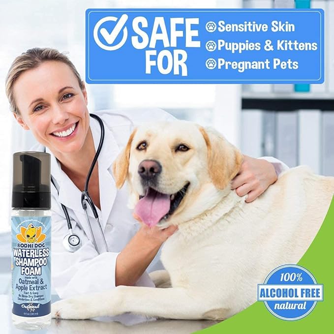 Bodhi Dog Waterless Foaming Shampoo - Dry Shampoo for Bathless Cleaning, No Rinse Required - Natural, Gentle Cleaner for Sensitive Skin - Made in USA (8 Fl Oz)