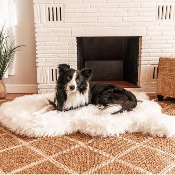 PupRug Orthopedic Dog Bed for Large Dogs with Fluffy Soft Faux Fur and Memory Foam for Joint Pain Relief, Machine Washable and Waterproof Couch Bed, Polar White, Medium