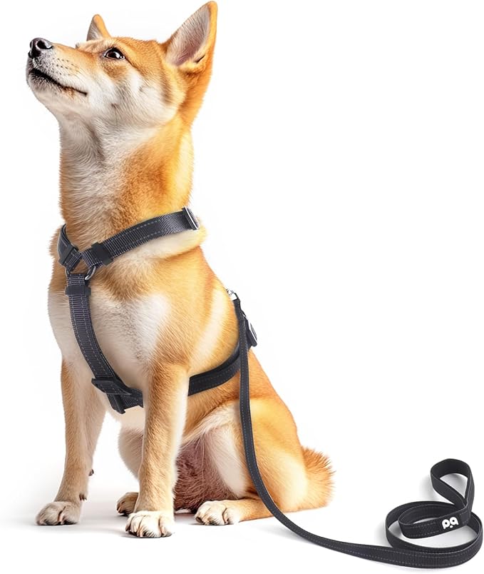 Dog Harness Leash Set, No Pull Adjustable Halter Cute Comfort Padded Handle for Medium Sized Large Small Dogs Walking Training Running with Reflective（Medium,Black）