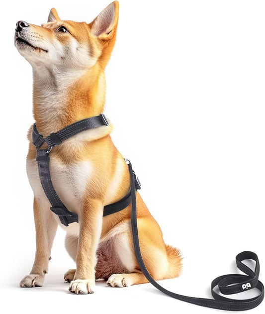 Dog Harness Leash Set, No Pull Adjustable Halter Cute Comfort Padded Handle for Medium Sized Large Small Dogs Walking Training Running with Reflective（Large,Black）