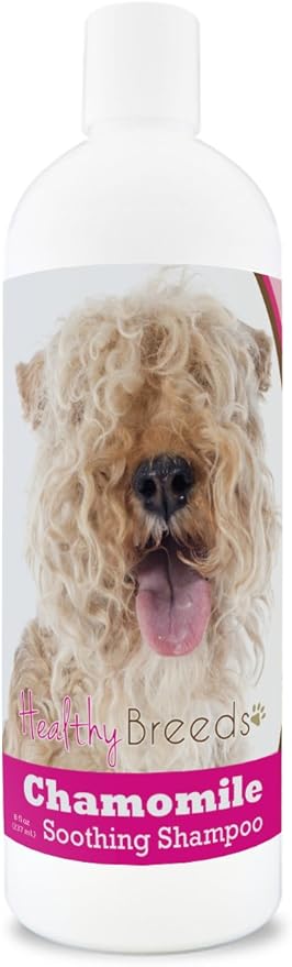 Healthy Breeds Lakeland Terrier Chamomile Soothing Dog Shampoo 8 oz