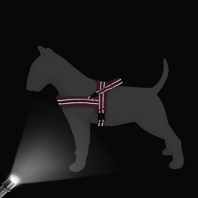 Didog No Pull Dog Harness with Soft Flannel Padded,Reflective & Quick Fit Light Weight Dog Strap Vest Harness,Easy for Walking Training for Small & Medium and Large Dogs(Pink,L)