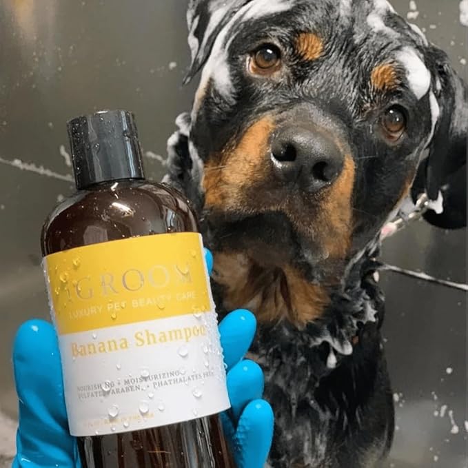 iGroom Banana Dog Shampoo, Luxury Pet Beauty Care, Nutrient-Rich Banana Extract, Nourish & Moisturize, Made in USA, 16 oz