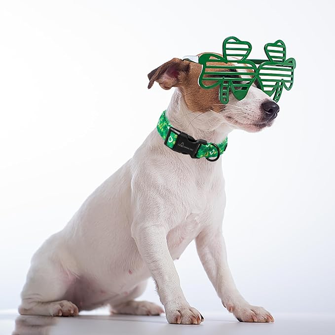 ARING PET St Patrick's Day Dog Collar-Cotton Clovers Dog Collar, Adjustable Shamrock Pet Collar Trefoil Puppy Collars with Quick Release Buckle
