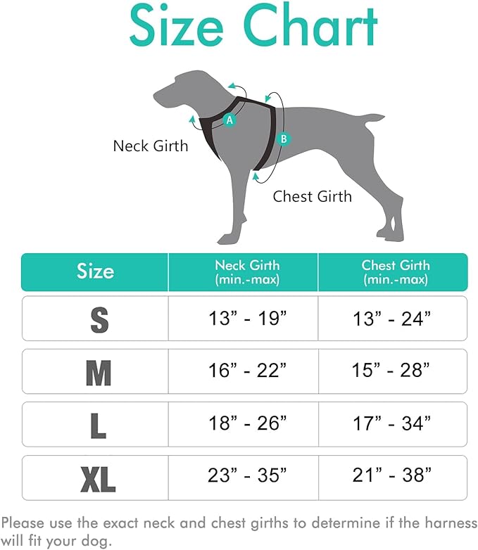 rabbitgoo Dog Harness, No-Pull Pet Harness with 2 Leash Clips, Adjustable Soft Padded Dog Vest, Reflective No-Choke Pet Oxford Vest with Easy Control Handle for Large Dogs, Turquoise, XL
