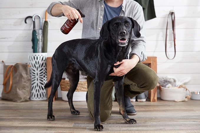 The Spruce Waterless Pet Wash, No Rinse Moisturizing Shampoo for Pets - Daily Pet Care - Cleaning, Cleansing, and Conditioning for Dogs, Puppies, and Cats - Fresh, 17oz, 2 Pack