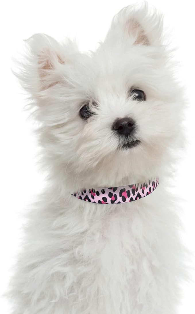 Mile High Life Dog Collar | Nylon Puppy Collars w Cute Patterns | Lightweight Girl Dog Collar | Boy Dog Collar for Small/Medium/Large Dogs (Pink Leopard, Small)