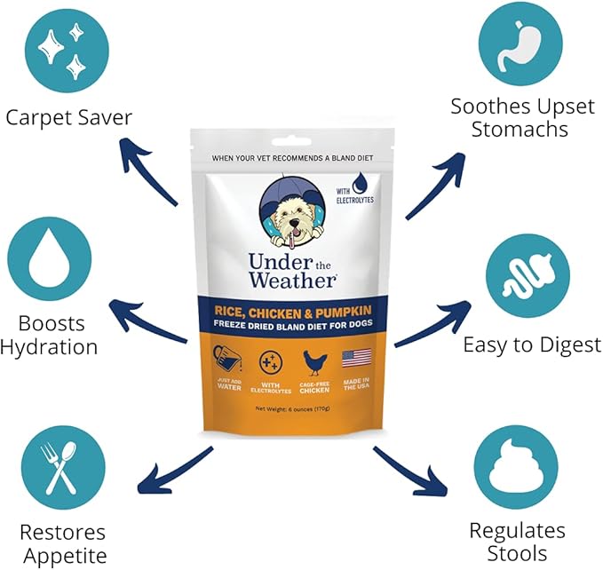 Under the Weather Bland Diet for Dogs | Easy to Digest for Sick Dogs |Always Be Ready | Contains Electrolytes - All Natural Freeze Dried 100% Human Grade Meats | 6 Pack - Rice, Chicken & Pumpkin - 6oz