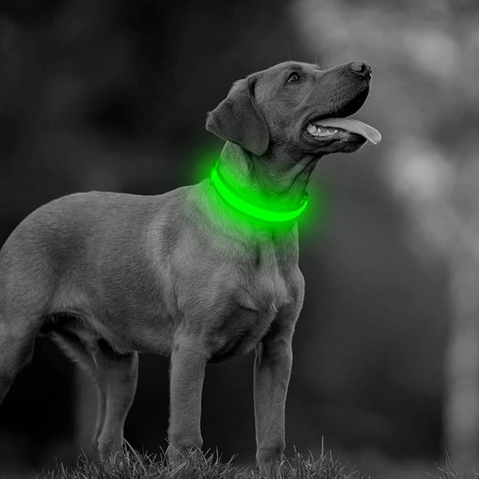 BSEEN LED Dog Collar Light- USB Rechargeable Light Up Dog Collars, Adjustable Mesh Reflective Puppy Collars for Night Dog Walking (Neon Green- Small- Collar)