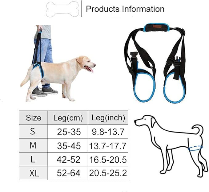 Adjustable Pet Dogs Lift Support Harness Breathable Mesh Padded Sling Straps Canine Support Rehabilitation for Injuries Arthritis Weak hind Legs & Joints, Blue (L)